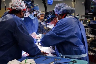 US surgeons mark achievement as pig kidney survives in human over a month