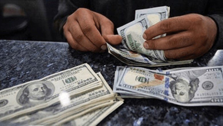 US dollar rises as stock market rallies