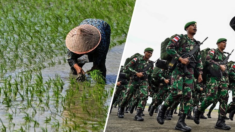 Indonesia summons army to help farmers plant rice