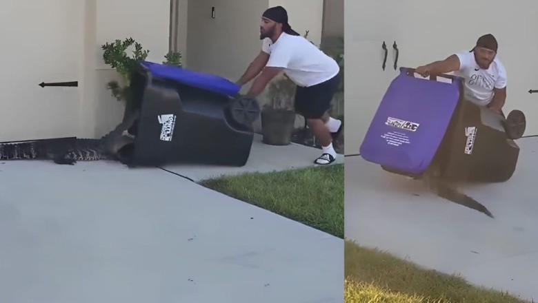 WATCH: Man captures crocodile using a dustbin