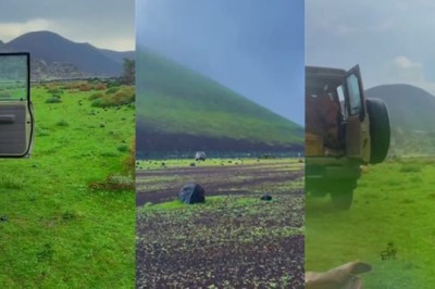 VIDEO: Saudi Arabian desert turns green after showers