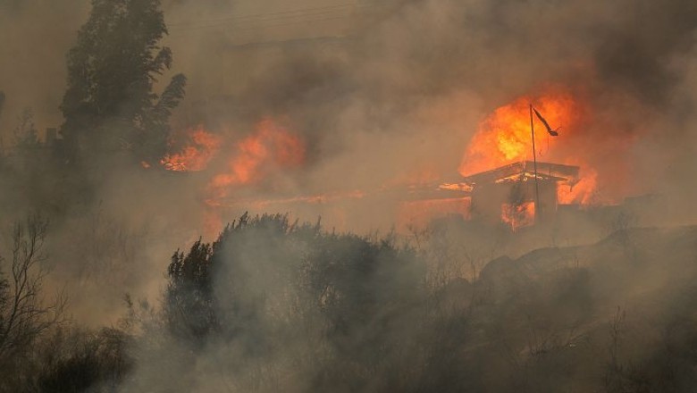 Forest fires kill 51 in Chile
