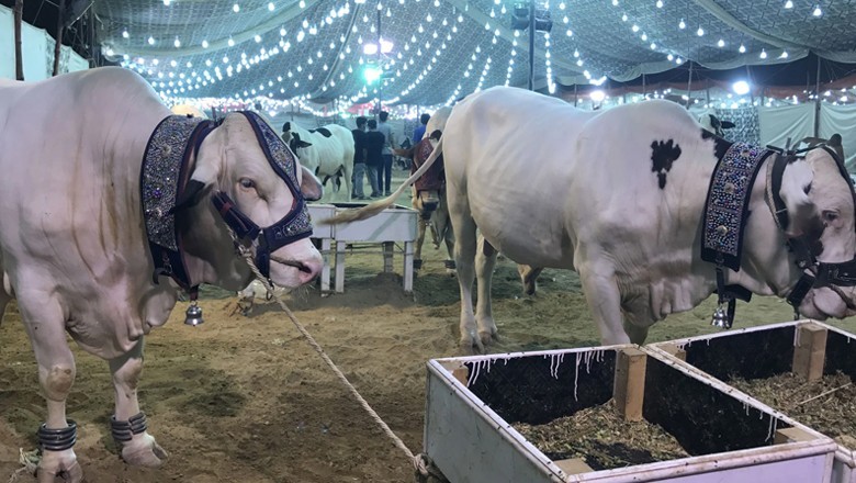 Pakistan likely to celebrate Eid ul Adha on June 18