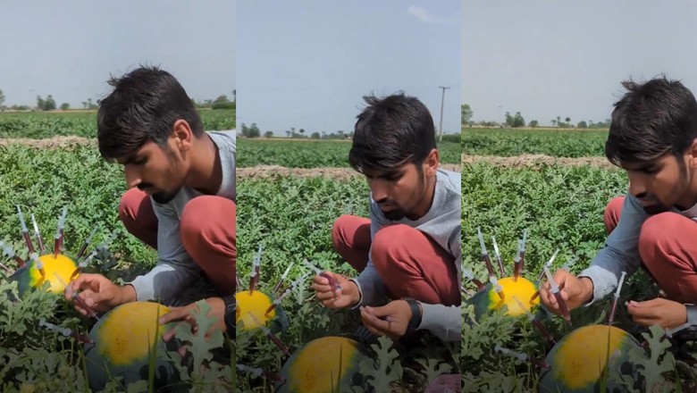 Video of a farmer injecting watermelons with red colour emerges