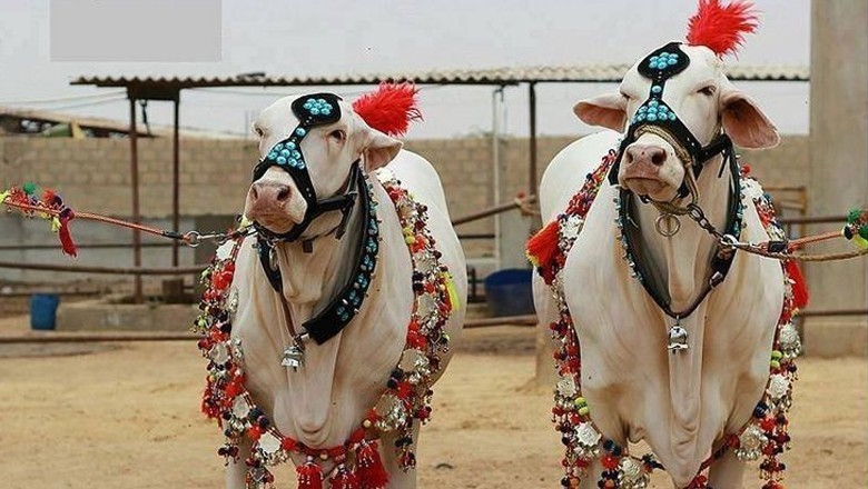 Eid-ul-Adha likely to fall on June 17 in Pakistan