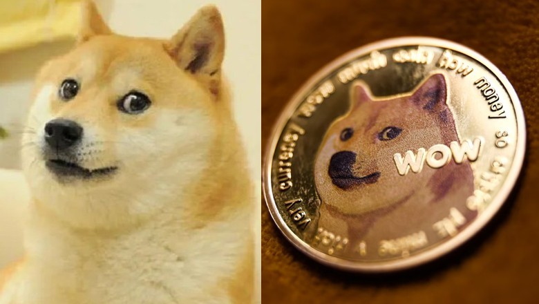 Japanese dog who inspired viral 'doge' meme and became crypto icon dies at 18