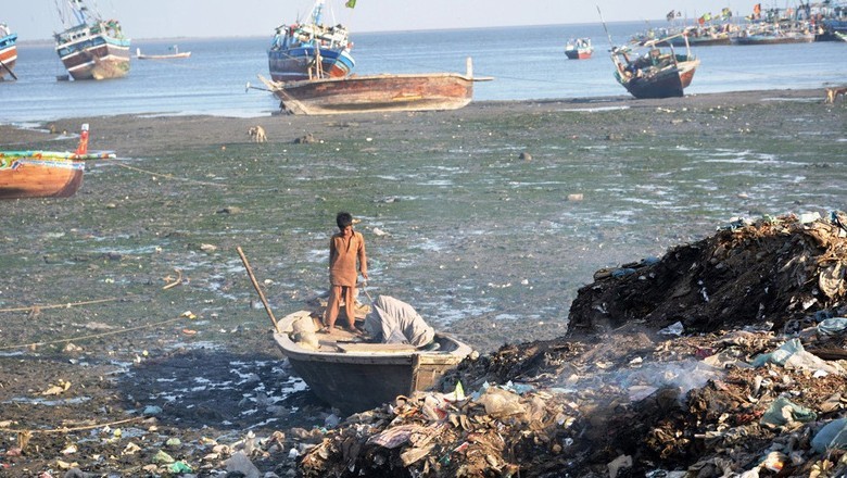 WWF declares KPT, adjoining areas as 'dead zone' for aquatic life