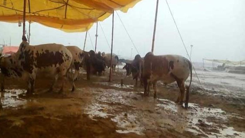 Will Karachi receive rain during Eid-ul-Adha holidays?