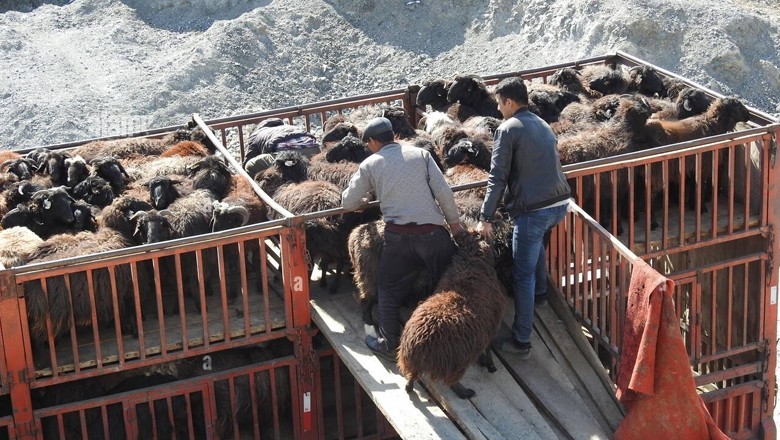 Armed robbers loot truck carrying 30 sacrificial goats in Karachi