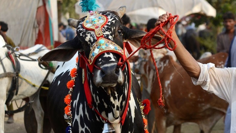 Over 6 million animals to be sacrificed on Eid-ul-Adha in Pakistan