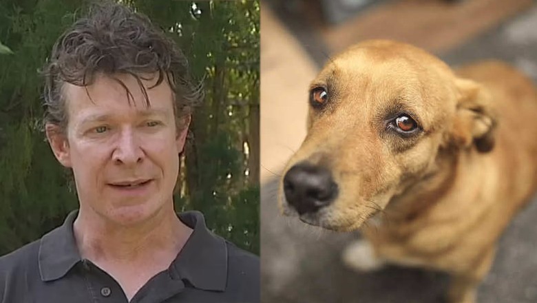 British zoologist sentenced to 249 years in jail for raping, killing dogs: report