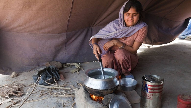 Over 52% people use 'wood to cook food' in Pakistan: survey