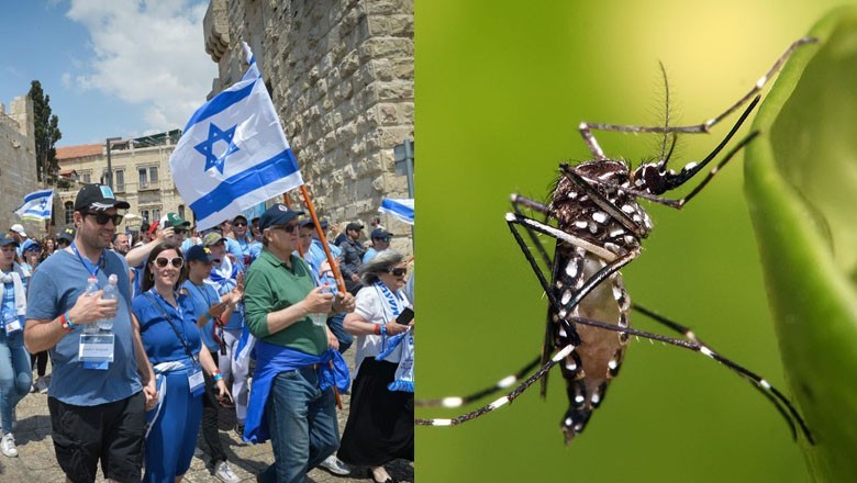 Deadly mosquitoes claim lives of 38 people in Israel