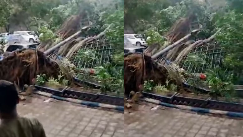 Tree fall claims life of woman as stormy winds hit parts of Karachi