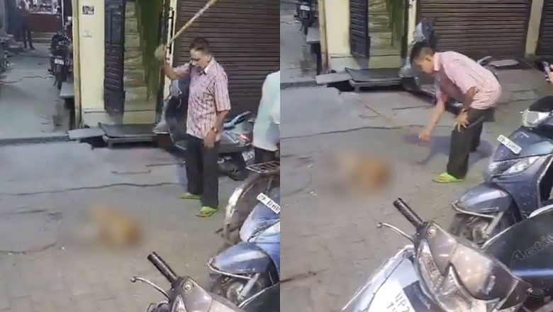 Elderly man kills stray dog for barking at cow in India