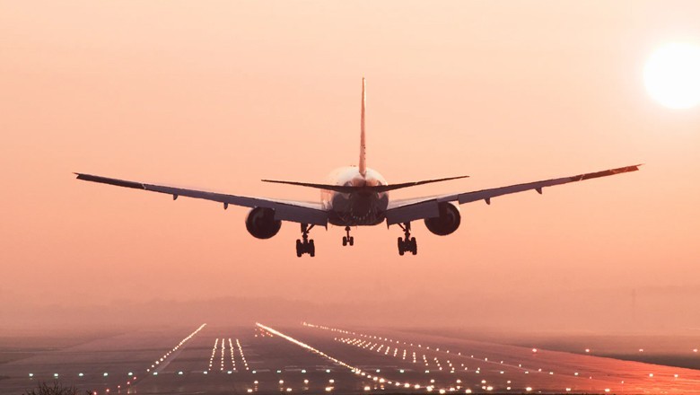 Plane makes emergency landing after passenger finds live mouse inside flight’s meal box