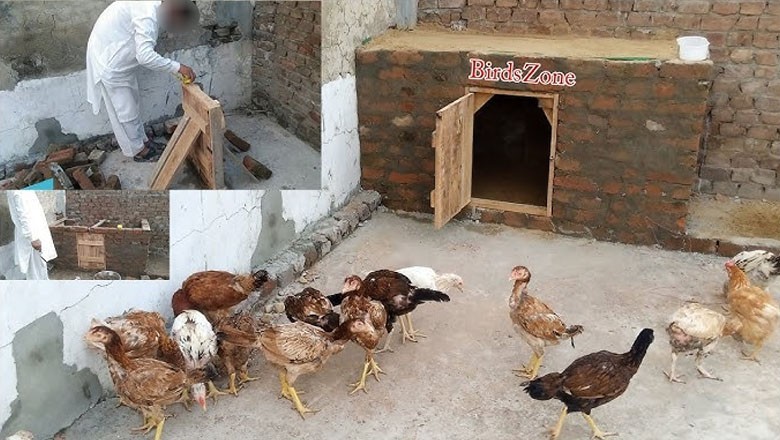 Karachi woman files case against neighbour's 'noisy chickens'