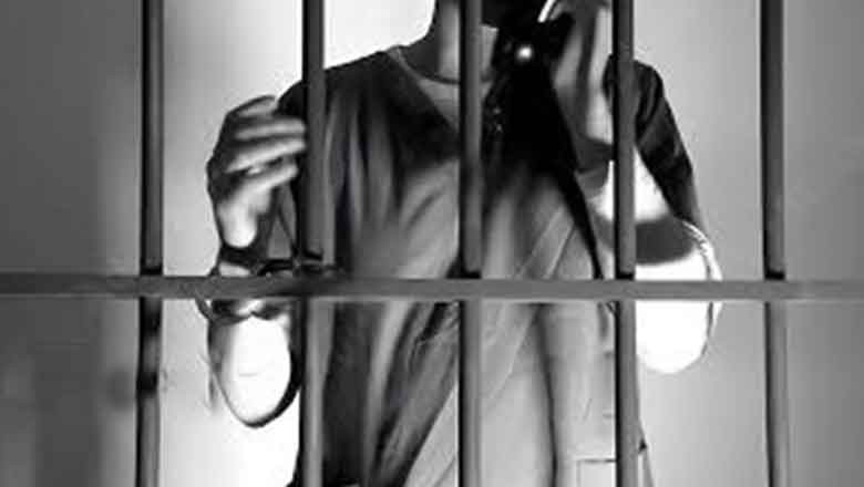 Punjab govt allows prisoners to make video calls to families