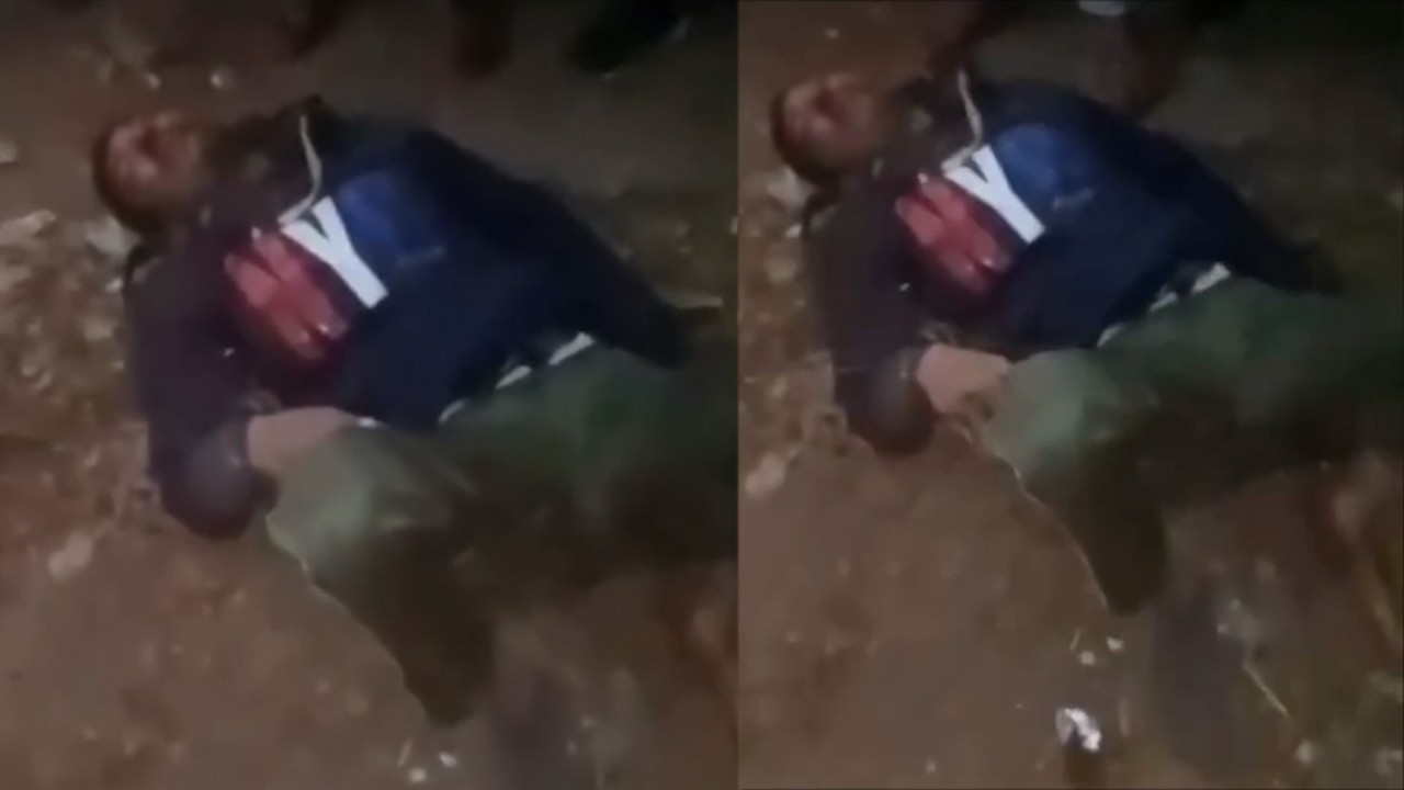 WATCH: Mob beats Muslim man to death for slaughtering cow in India