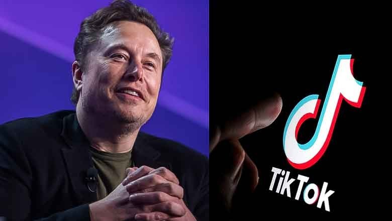 Elon Musk denies interest in buying TikTok amid US ban efforts