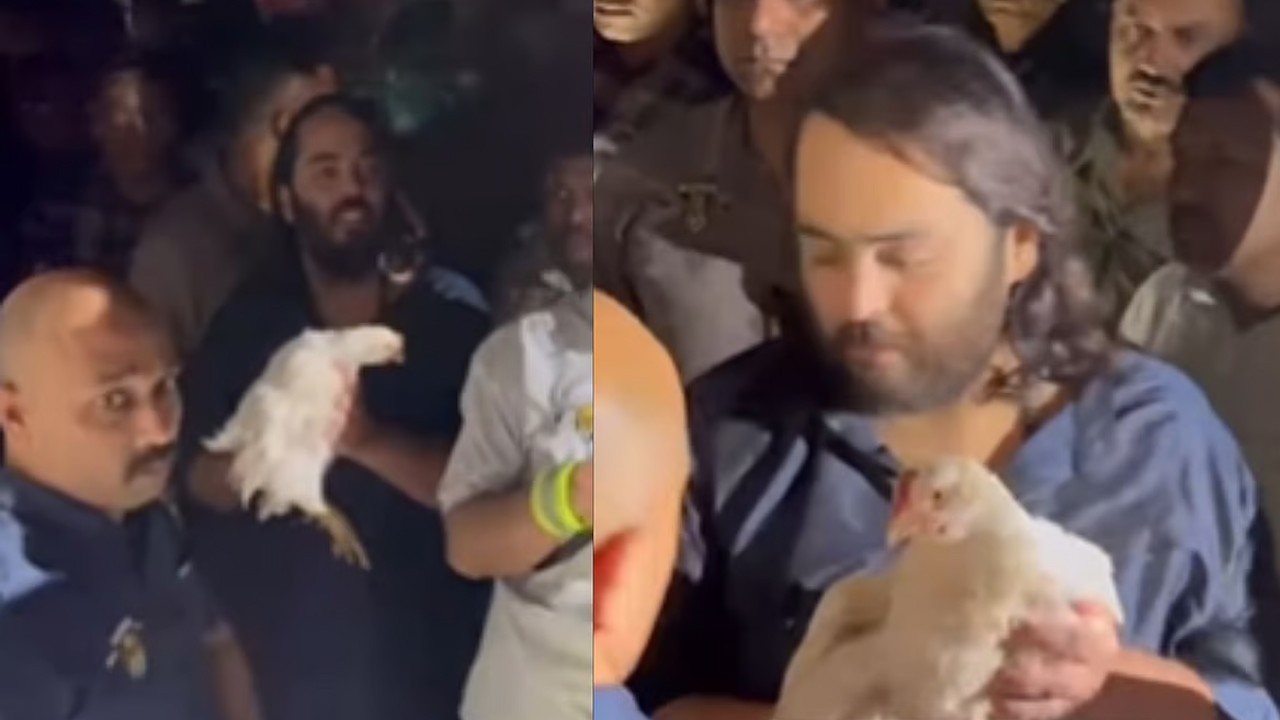 Anant Ambani’s rescue of poultry chicken sparks backlash over his ‘hypocrisy’