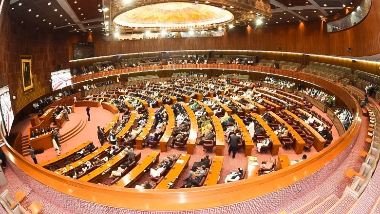NA passes resolution in solidarity with Palestine, condemns Israeli atrocities