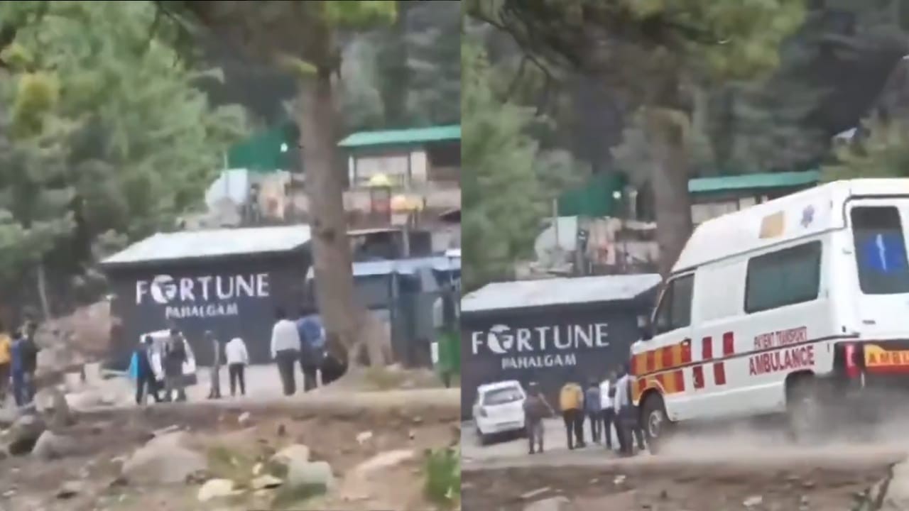 24 killed in attack on tourists in occupied Kashmir