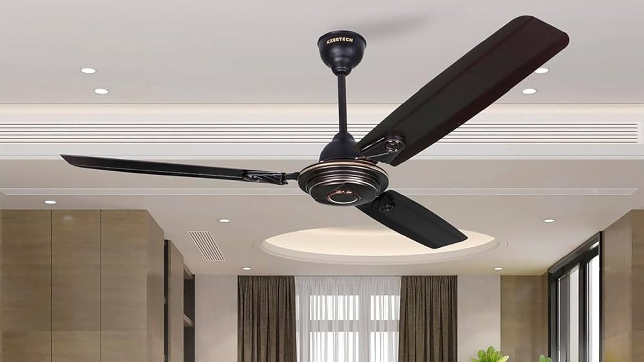 Govt plans interest-free scheme for energy-saving fans in budget 2025-26