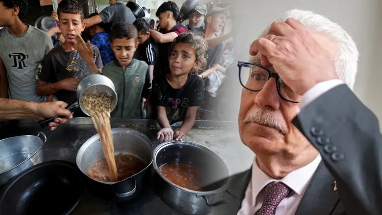 29 dead from starvation as Gaza's hunger crisis deepens