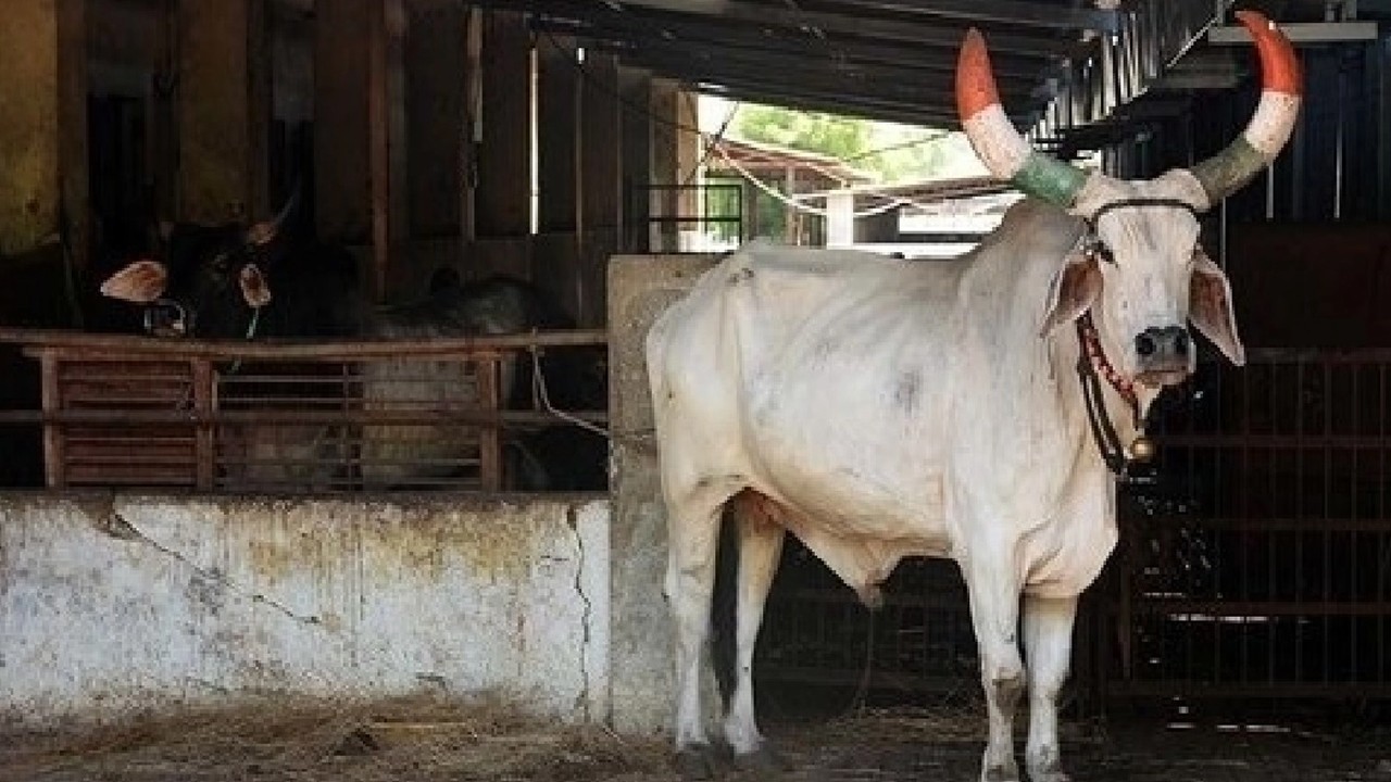 Hindu extremists attack Muslims in Aligarh, 4 injured