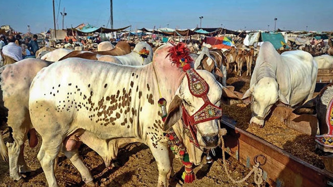 Zilhajj moon not sighted in Pakistan, Eidul Adha to be celebrated on June 7
