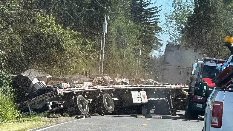Truck carrying 250 million honeybees overturns in Washington
