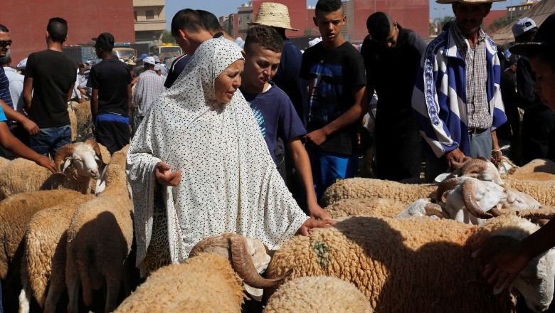 Muslims in France will not slaughter sheep, Morocco cancels Eidul Azha sacrifice