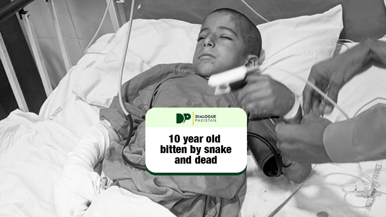 10 year old bitten by snake and dead