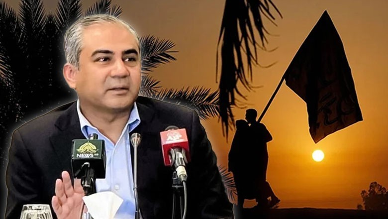 Pakistani pilgrims to be banned from travelling to Iraq individually from January 2026: Interior Minister