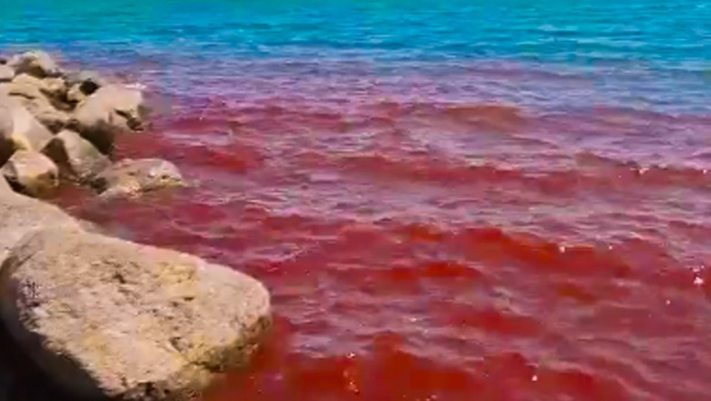 Blood-red waters in Israel raises concerns among Jews over Biblical parallels