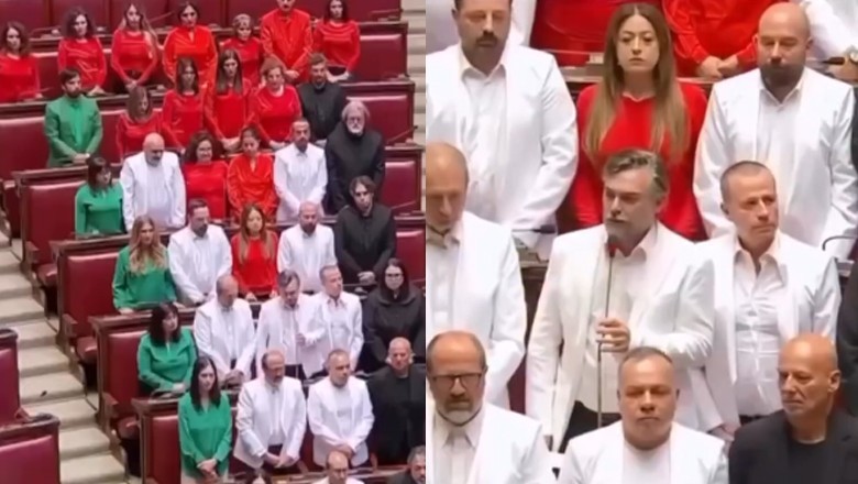 Italian lawmakers wear Palestinian colors in Parliament to show solidarity