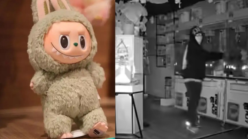 Thieves steal Labubu dolls from Los Angeles store, ignore cash and electronics