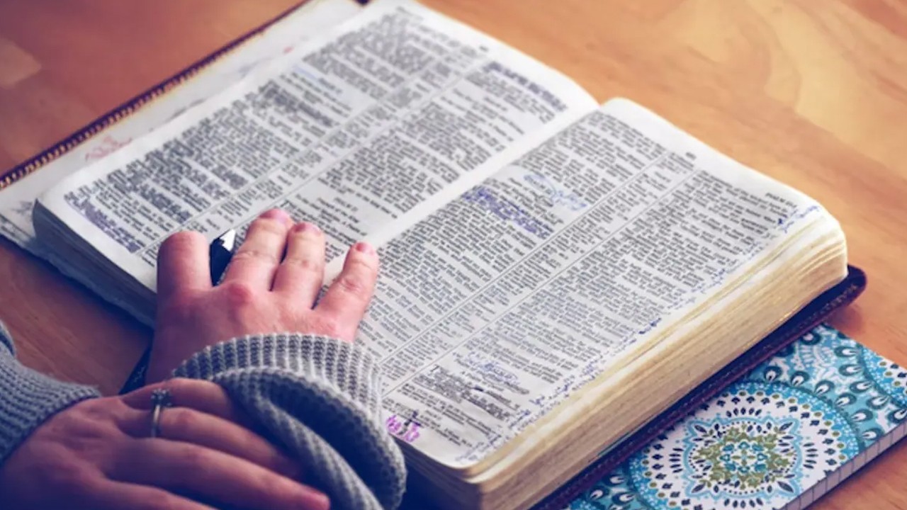 Gen Z slangs 'delulu', 'skibidi' among 6,000 new words added to Cambridge Dictionary