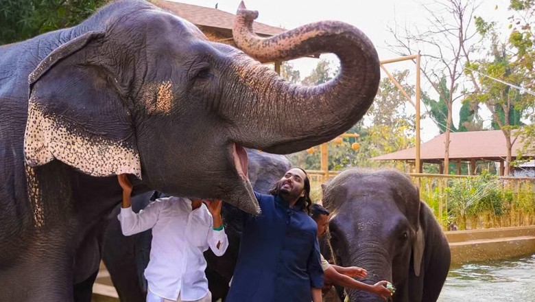 Giant zoo run by Mukesh Ambani's son faces inquiry over wildlife crime allegations