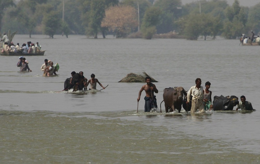 Sindh must prepare for 800,000 cusecs of floodwater, warns IRSA member