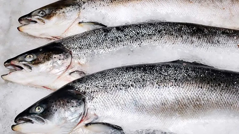 Pakistan gets 4-year permit to export fish to US