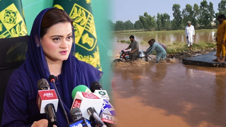 Punjab flood death toll rises to 35, confirms Marriyum Aurangzeb