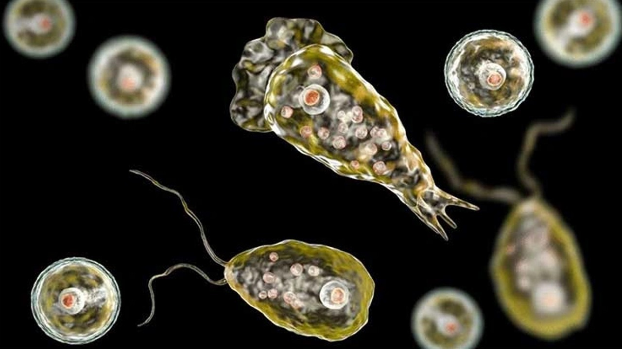 Naegleria claims another life in Karachi, toll rises to five