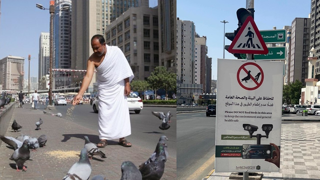 1,000 Riyal fine announced for feeding pigeons in Makkah, Madina