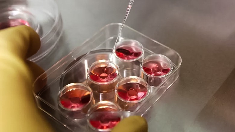 Dera Ismail Khan welcomes first test tube baby