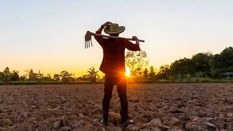 Pakistan among countries hardest hit by floods, millions displaced, agriculture devastated: FAO