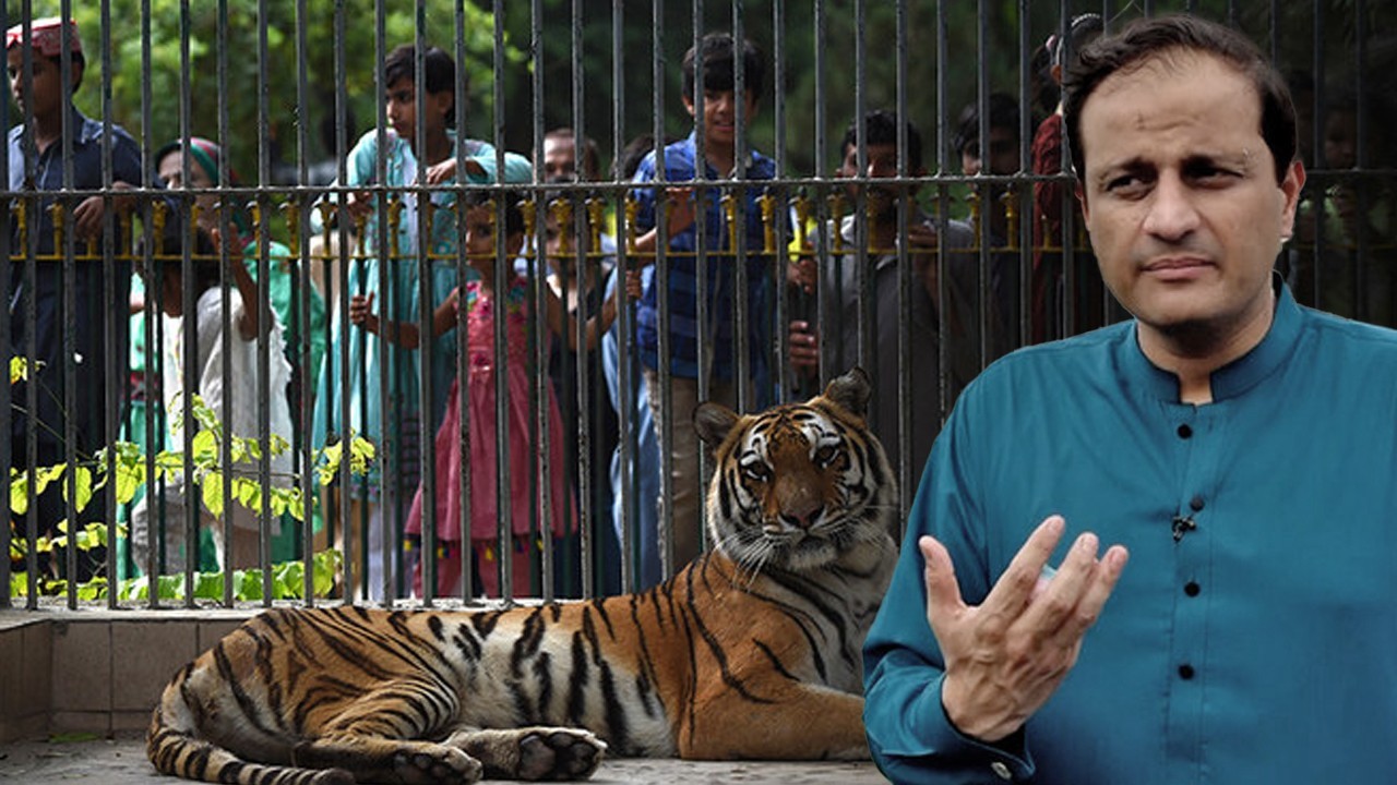 Mayor Murtaza Wahab announces complete renovation of Karachi zoo